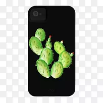 t����ñ�������ƿ�����t��-������