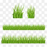 草坪设计-空若网 草坪设计-空若网