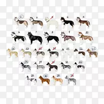 狗牛野生动物字体西伯利亚哈士奇-空若网 狗牛野生动物字体西伯利亚哈士奇-空若网