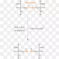 直线点角线-空若网 直线点角线-空若网