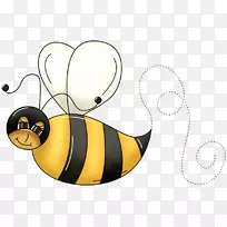 蜜蜂昆虫-空若网 蜜蜂昆虫-空若网