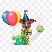 ���������յ���ؿ�ף��-���չ�-������