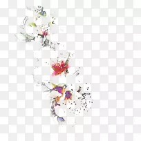 �Ұ��һ�����-������