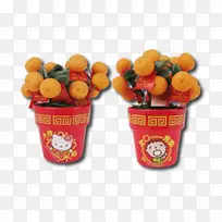 花盆水果-龚西法蔡-空若网 花盆水果-龚西法蔡-空若网