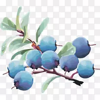 ��ݮ��ʵ������ݮ��ʵ��ݮ-������