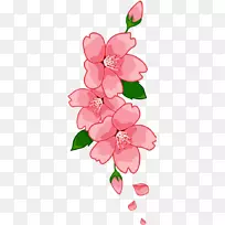 樱花切花-粉红色樱花-空若网 樱花切花-粉红色樱花-空若网