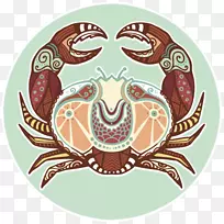 占星学星座占星术黄道癌占星术-空若网 占星学星座占星术黄道癌占星术-空若网