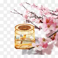 小鸟下载樱花-桃花-空若网 小鸟下载樱花-桃花-空若网