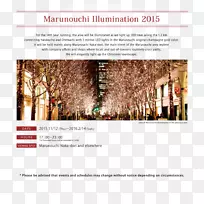 广告树品牌树-空若网 广告树品牌树-空若网