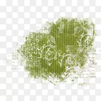 �����ֽ�ݵ����������-������