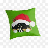 天鹅绒地下&尼科三重奏为弦抛枕头黑白-澳大利亚牧羊人-空若网 天鹅绒地下&尼科三重奏为弦抛枕头黑白-澳大利亚牧羊人-空若网