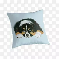 危险符号辐射澳大利亚牧羊人放射性衰变澳大利亚牧羊人-空若网 危险符号辐射澳大利亚牧羊人放射性衰变澳大利亚牧羊人-空若网