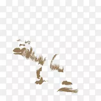 澳大利亚牧羊犬嘴鹅水鸟-澳大利亚牧羊犬-空若网 澳大利亚牧羊犬嘴鹅水鸟-澳大利亚牧羊犬-空若网