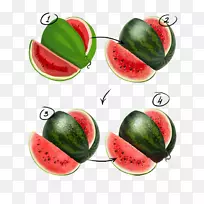 ���ϻ�����-����-������