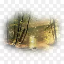 �����ֽ��Ӱ��Ȼ-��������-������