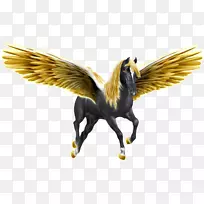 �������Ⱥ��ë���-��٤��˹-������