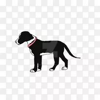 ����ֳС��������-С��-������