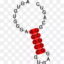 ��Ӱ���ζ��������鱦����-������