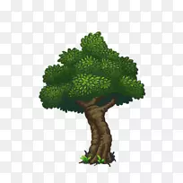 ������ֲ��-��-������