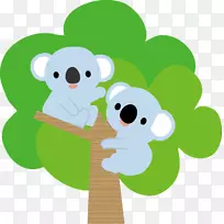 考拉神户泰山吉小学澳大利亚-考拉-空若网 考拉神户泰山吉小学澳大利亚-考拉-空若网