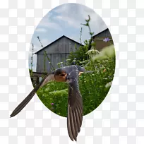 �-������