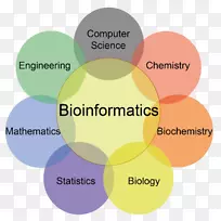 生物信息学计算机科学计算生物学教学方法-空若网 生物信息学计算机科学计算生物学教学方法-空若网