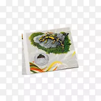 材料-欧洲火蜥蜴-空若网 材料-欧洲火蜥蜴-空若网