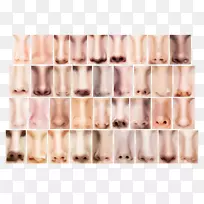 人体鼻翼扩张器-大鼻子-空若网 人体鼻翼扩张器-大鼻子-空若网