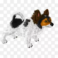 狗繁殖伴犬鼻子毛皮设得兰牧羊犬-空若网 狗繁殖伴犬鼻子毛皮设得兰牧羊犬-空若网