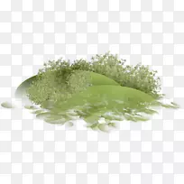 ���Ĳ���ͼ�����-������