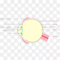 眼线材料-探索-空若网 眼线材料-探索-空若网
