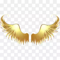 绘画剪贴画.天使翅膀材料-空若网 绘画剪贴画.天使翅膀材料-空若网