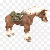 塞尔达的传说:黄昏公主,塞尔达的传说:时间的奥卡丽娜,塞尔达二世:链接公主塞尔达-人的冒险-空若网 塞尔达的传说:黄昏公主,塞尔达的传说:时间的奥卡丽娜,塞尔达二世:链接公主塞尔达-人的冒险-空若网