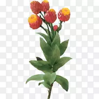 花卉设计-空若网 花卉设计-空若网