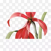 ������Ƽ�����-����-������