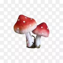 Ģ��-Ģ��-������