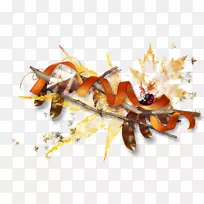 海产品害虫-昆虫-空若网 海产品害虫-昆虫-空若网