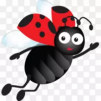 瓢虫甲虫夹飞昆虫-空若网 瓢虫甲虫夹飞昆虫-空若网