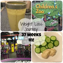 塑料午餐本地食物-空若网 塑料午餐本地食物-空若网