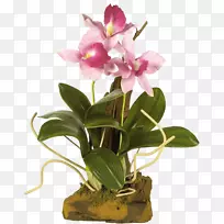 �廨����-ֲ��-������