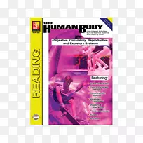 人体:神经系统、感觉系统、呼吸系统、排泄系统、循环系统、生殖系统、排泄系统。-空若网 人体:神经系统、感觉系统、呼吸系统、排泄系统、循环系统、生殖系统、排泄系统。-空若网