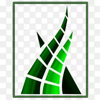 线三角形叶字体-人工草-空若网 线三角形叶字体-人工草-空若网