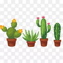 肉质植物仙人掌科花梨夹艺术手绘棕榈盆栽仙人掌-空若网 肉质植物仙人掌科花梨夹艺术手绘棕榈盆栽仙人掌-空若网