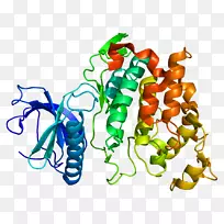 �߲��л���ϵ�м�����-�߲�-������