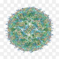 �����ѧ������ѧ��ѧ-������