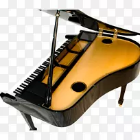 ���ָ�����ľ�����Petrof-�����-������