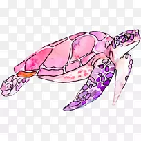 º£¹êË®²Ê»²åͼ-·Ûºì¹ê-¿ÕÈôÍø º£¹êË®²Ê»²åͼ-·Ûºì¹ê-¿ÕÈôÍø