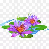 花卉设计紫色花瓣年开花植物-植物-空若网 花卉设计紫色花瓣年开花植物-植物-空若网