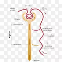 ��йϵͳ����������λ����йϵͳ-������