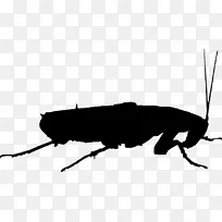 ¶«·½ó¯òëÀ¥³æ°×ÒϺ¦³æó¯òë-¿ÕÈôÍø ¶«·½ó¯òëÀ¥³æ°×ÒϺ¦³æó¯òë-¿ÕÈôÍø